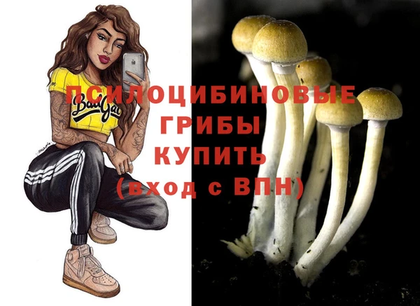 спиды Рославль