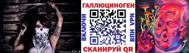 Галлюциногенные грибы Psilocybine cubensis  Якутск 
